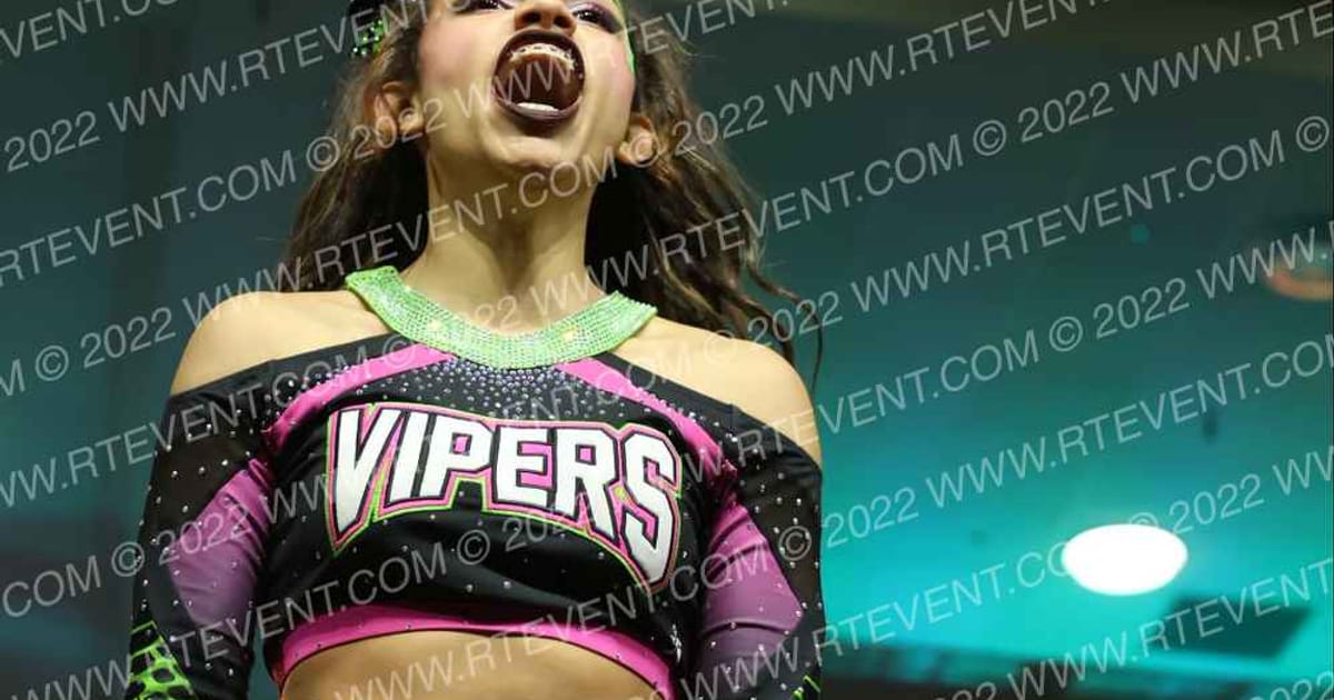 CT Vipers Phobia4 · The Northeast Regional Summit