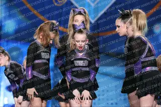WILD All Stars Diamond Cats