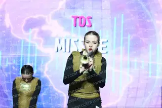 TDS Missile