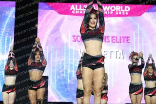 Scorpions Elite Vendetta