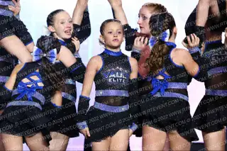 Vault Elite Royal crush