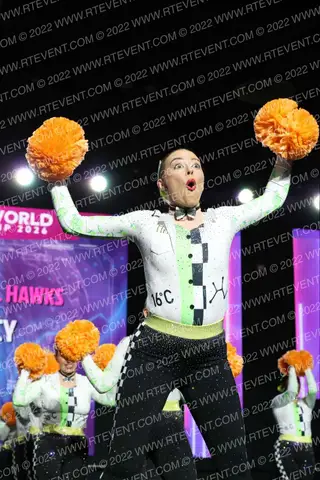 Hartlepool Hawks Legacy