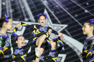 Spirit Central Baby Bengals