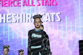Fierce All Stars Cheshire Cats