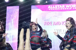 Fire and Ice Allstars Wildfire