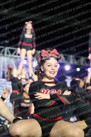USA Wildcats Legacy