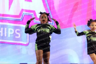 Vibe Allstars Voltage
