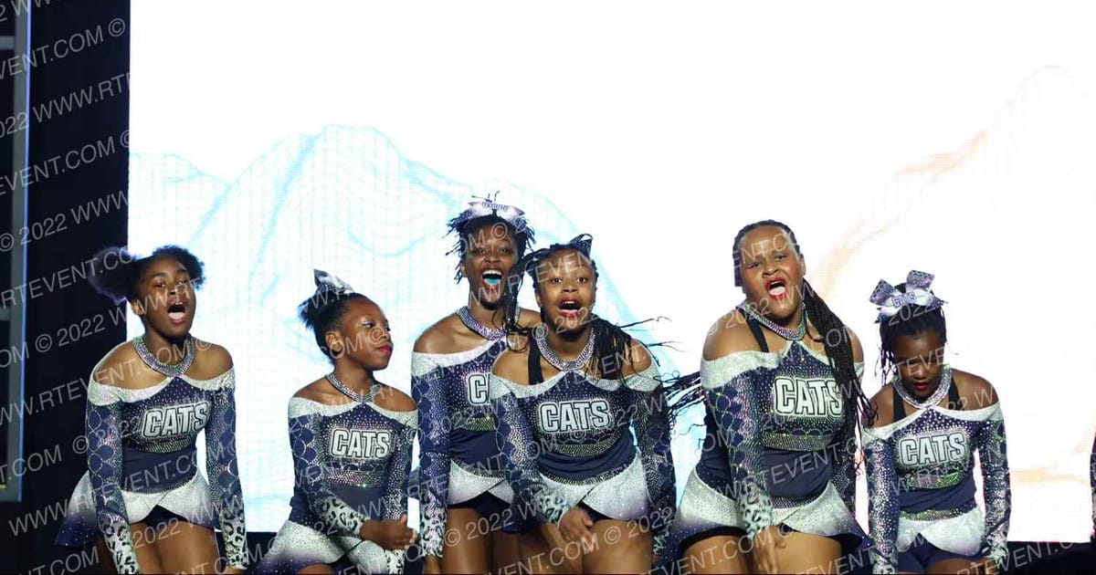 Chi-Town C A T S Fearless · The Midwest Regional Summit