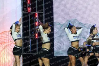 The Stingray Allstars Heat