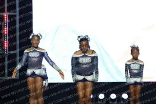 Chi-Town C A T S Wildcats