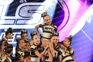 The Hive Cheer BeeWare