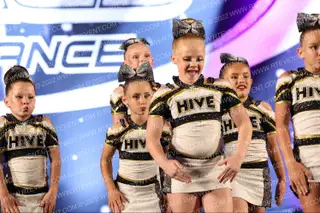 The Hive Cheer Stingettes