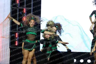 GU Shamrocks 4 Leaf Clovers