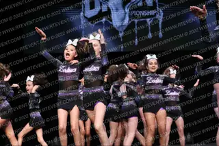 Gemini Zodiacs Extreme Allstars