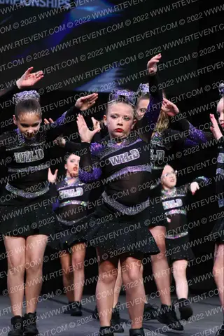 Diamond Cats WILD All Stars