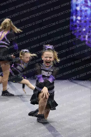 Diamond Cats WILD All Stars