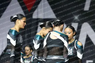HAMMERHEADS 808SHARKS