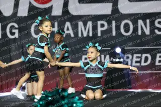 TINY 808SHARKS