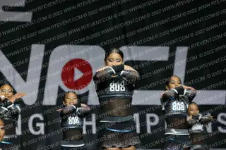 TIGER 808SHARKS