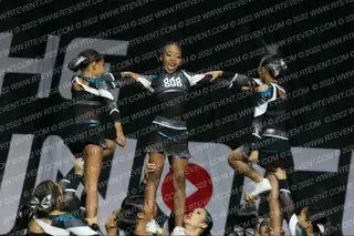 HAMMERHEADS 808SHARKS