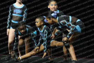 FRESNO ELITE TOXITRON