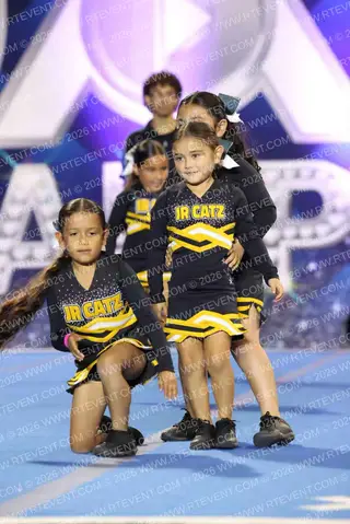 WATSONVILLE JR WILDCATZ MM