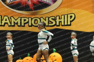 Cheer Coast Tropics Hammer Sharks