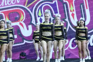 Sheffield Sabrecats Black
