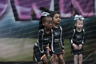 BLACK ICE ACADEMY Flurry