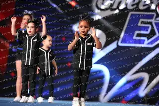 The Stingrays Allstars Halo