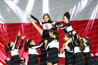 Tumble Queen Queen Bees