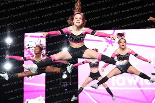 DDC Senior Flawless