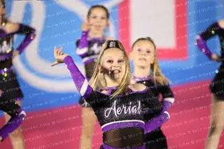 Aerial Elite Black Ice