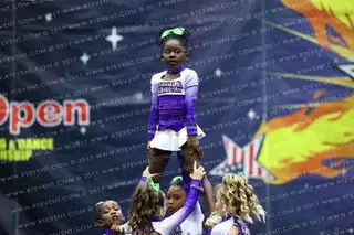 Florida Triple Threat Minnie Cats