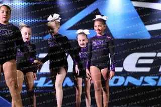 LEGA-C Allstars PURPLE PANDAS