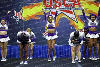 Florida Triple Threat Royal Cats