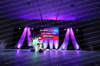 SPARKLZ Cheer and Danz Mini Shimmers