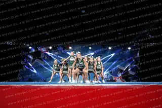 Severna Park Green Hornets Honeybees