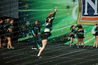 Haydens All Stars Black Ice