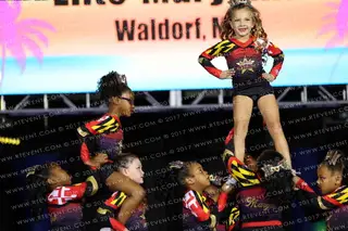Dynasty Spirit Elite-Maryland ROYAL DIVAS