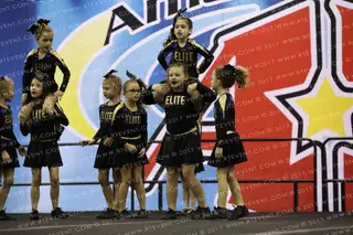 Dragons Elite Mini Divas