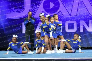 NWR GOLDEN DYNASTY