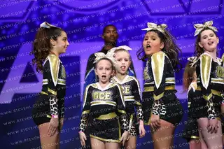 GOLDEN CATS CHEETAH GIRLS
