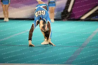 Gym Counts Cheetahs
