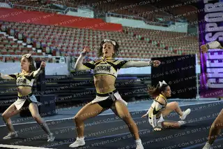 Top Gun All Stars Platinum Jags