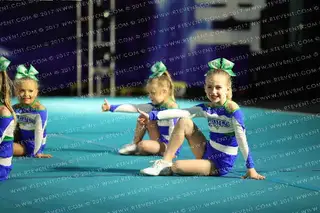 The Stingray All Stars Daisy