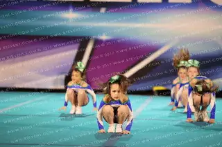 The Stingray All Stars Blossom
