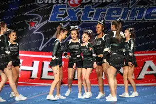 WERC Warriors Seniors
