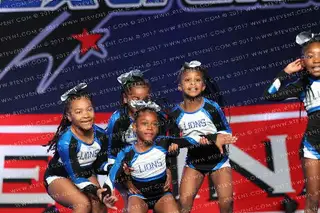 Lawncrest Lions Cubs