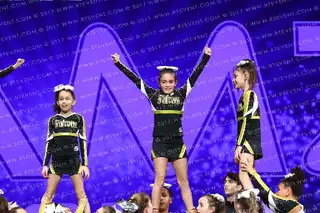 FLEMINGTON FALCONS JUNIOR BLACK